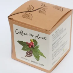 Set Di Coltivazione Pianta Del Caffè