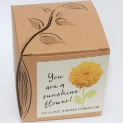 Set Di Coltivazione "You Are A Sunshine Flower"