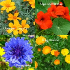 Set Di Semi Gourmet Flowers -Offerta Economica Verdi Giard naturkraftwerk set di semi gourmet flowers 1 set 1667929 it