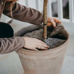 Tappetino Protettivo In Lana, Ø 21 Cm (2 Pz.) 6 Tappetino Protettivo In Lana, Ø 21 Cm (2 Pz.) -Offerta Economica Verdi Giard nelson garden tappetino protettivo in lana 1459786 it