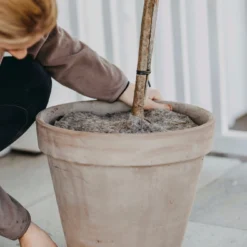 Tappetino Protettivo In Lana, Ø 21 Cm (2 Pz.) 7 Tappetino Protettivo In Lana, Ø 21 Cm (2 Pz.) -Offerta Economica Verdi Giard nelson garden tappetino protettivo in lana 1459793 it