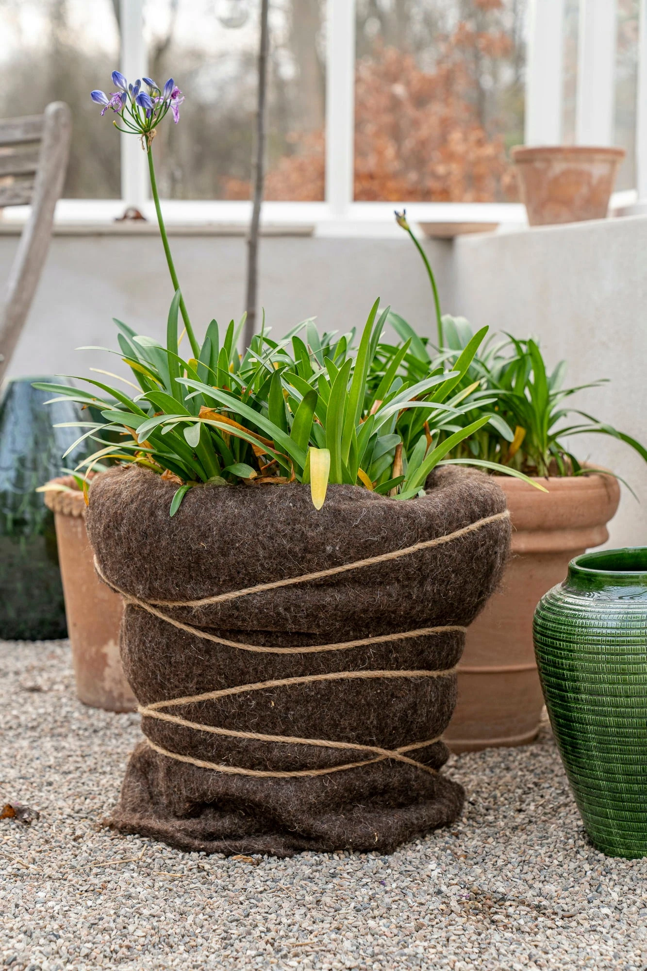 Tappetino Protettivo In Lana Per Inverno 1 Tappetino Protettivo In Lana Per Inverno