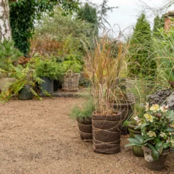 Tappetino Protettivo In Lana Per Inverno 11 Tappetino Protettivo In Lana Per Inverno -Offerta Economica Verdi Giard nelson garden tappetino protettivo in lana per inverno 1459905 it