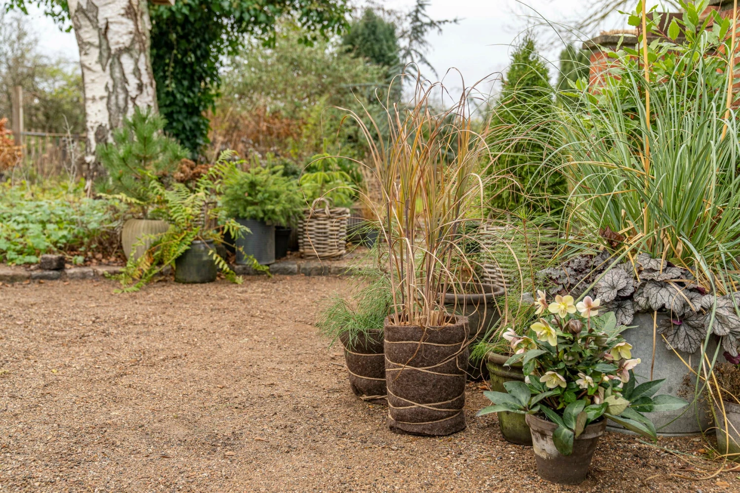 Tappetino Protettivo In Lana Per Inverno 6 Tappetino Protettivo In Lana Per Inverno - immagine 6