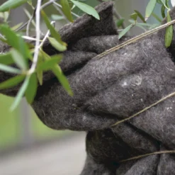 Tappetino Protettivo In Lana Per Inverno 8 Tappetino Protettivo In Lana Per Inverno -Offerta Economica Verdi Giard nelson garden tappetino protettivo in lana per inverno 1459912 it