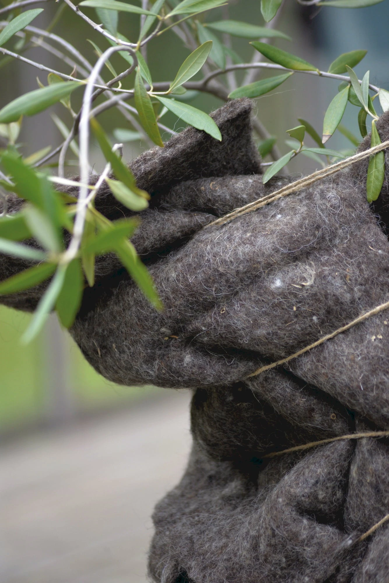 Tappetino Protettivo In Lana Per Inverno 3 Tappetino Protettivo In Lana Per Inverno - immagine 3