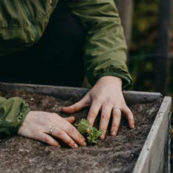 Telo In Lana, 120x80 Cm 12 Telo In Lana, 120x80 Cm -Offerta Economica Verdi Giard nelson garden telo in lana 1459599 it