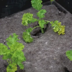 Telo In Lana, 120x80 Cm