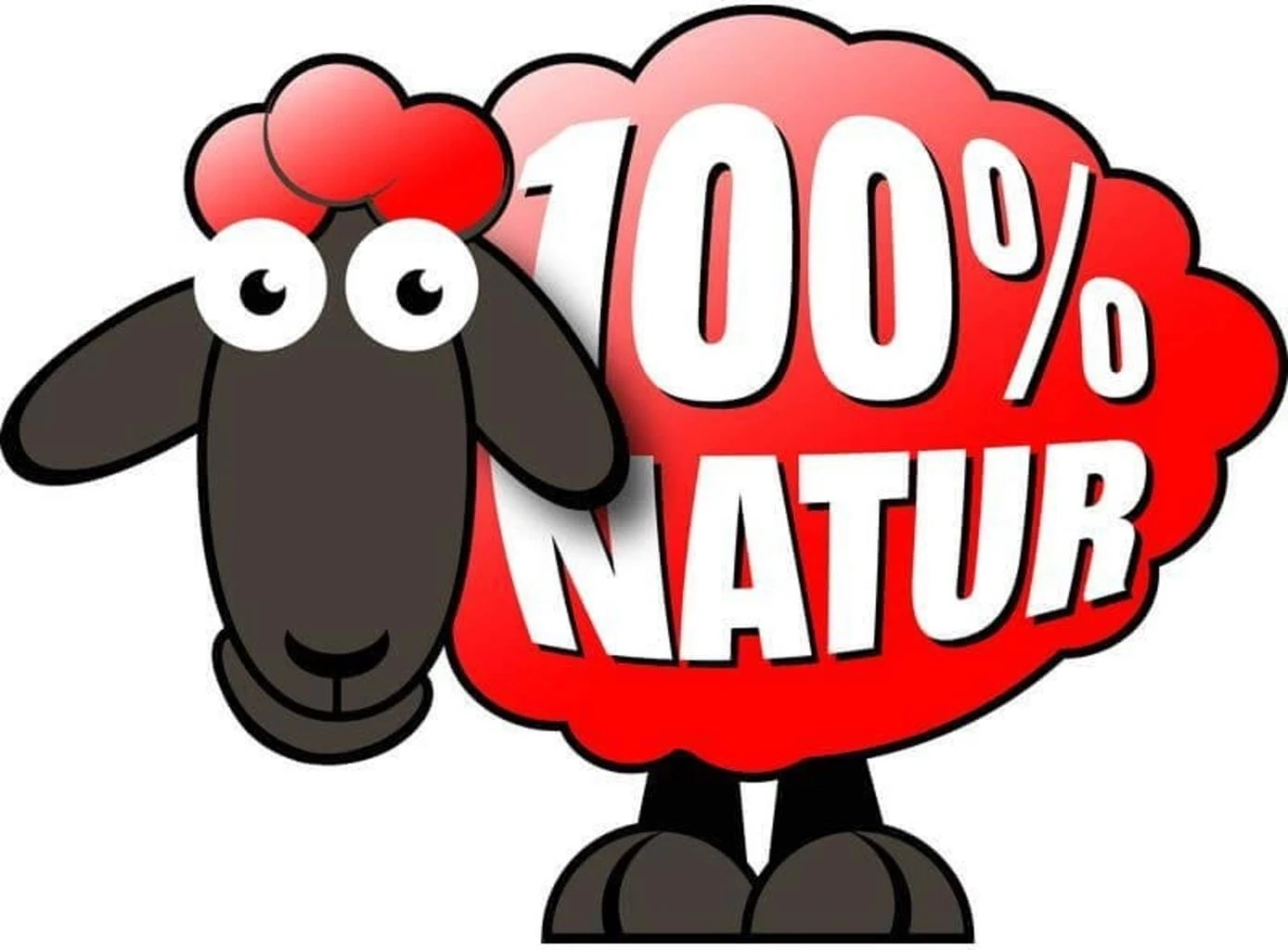 Telo Di Protezione Invernale In Lana Di Pecora - 50x150 Cm, Bianco Naturale 2 Telo Di Protezione Invernale In Lana Di Pecora - 50x150 Cm, Bianco Naturale - immagine 2