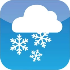 Telo Di Protezione Invernale In Lana Di Pecora - 50x150 Cm, Bianco Naturale 7 Telo Di Protezione Invernale In Lana Di Pecora - 50x150 Cm, Bianco Naturale -Offerta Economica Verdi Giard noor telo di protezione invernale in lana di pecora 50x150 cm 1678573 it