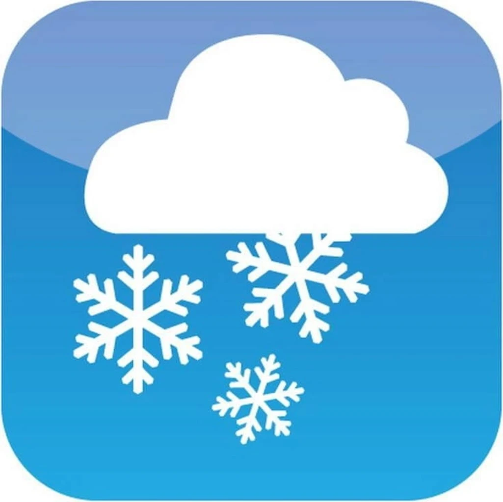 Telo Di Protezione Invernale In Lana Di Pecora - 50x150 Cm, Bianco Naturale 4 Telo Di Protezione Invernale In Lana Di Pecora - 50x150 Cm, Bianco Naturale - immagine 4