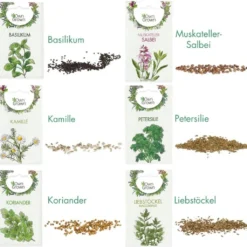 Mini Giardino In Cassetta - Erbe Aromatiche -Offerta Economica Verdi Giard own grown mini giardino in cassetta erbe aromatiche 1 set 1684351 it