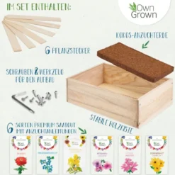 Mini Giardino In Cassetta - Fiori Colorati