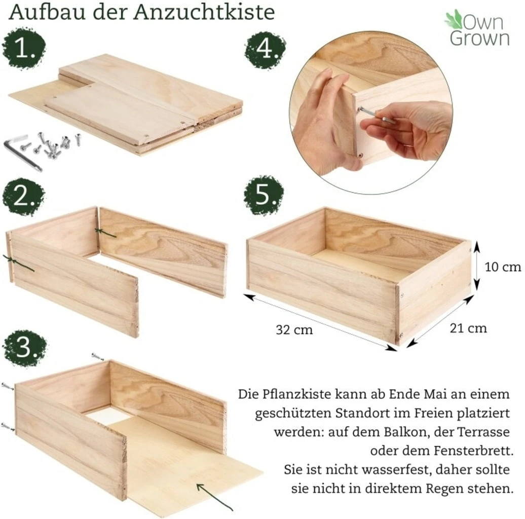 Mini Giardino In Cassetta - Fiori Colorati 6 Mini Giardino In Cassetta - Fiori Colorati - immagine 6