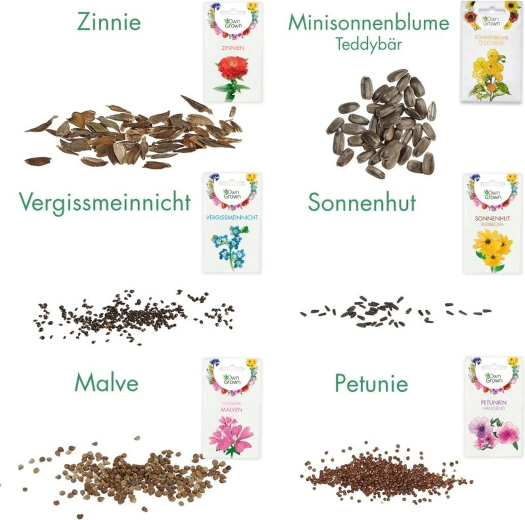 Mini Giardino In Cassetta - Fiori Colorati 4 Mini Giardino In Cassetta - Fiori Colorati - immagine 4