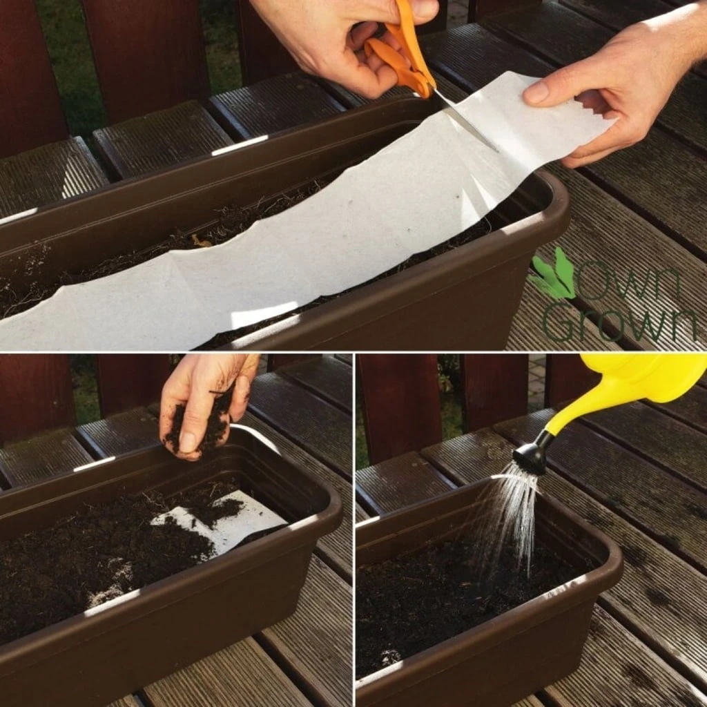 Nastro Per La Semina - Fiori Ricadenti Da Balcone 7 Nastro Per La Semina - Fiori Ricadenti Da Balcone - immagine 7