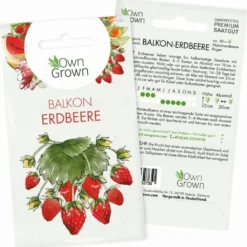 Seme Di Fragola Per Balcone