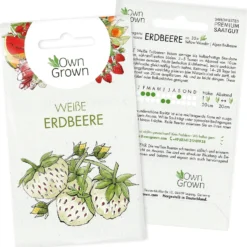 Semi Di Fragola Bianca