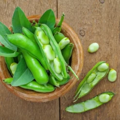 Semi Di Semi - 6 Fagioli 9 Semi Di Semi - 6 Fagioli -Offerta Economica Verdi Giard own grown semi di semi 6 fagioli 1679556 it