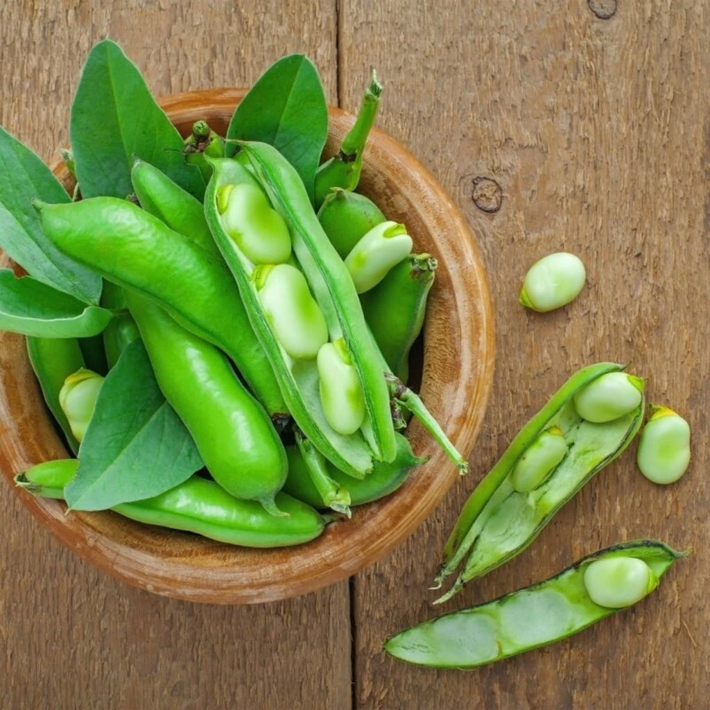 Semi Di Semi - 6 Fagioli 3 Semi Di Semi - 6 Fagioli - immagine 3