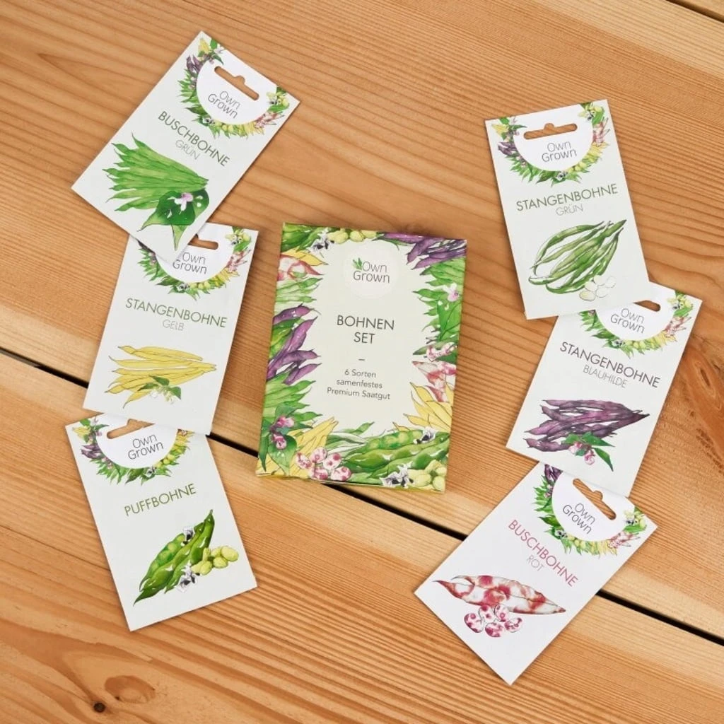 Semi Di Semi - 6 Fagioli 5 Semi Di Semi - 6 Fagioli - immagine 5