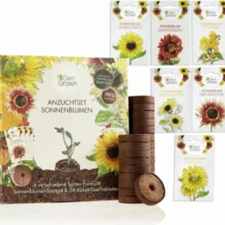 Set Di Coltivazione - 6 Girasoli -Offerta Economica Verdi Giard own grown set di coltivazione 6 girasoli 1682767 it