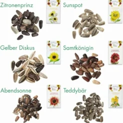 Set Di Coltivazione - 6 Girasoli -Offerta Economica Verdi Giard own grown set di coltivazione 6 girasoli 1682768 it