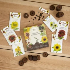 Set Di Coltivazione - 6 Girasoli -Offerta Economica Verdi Giard own grown set di coltivazione 6 girasoli 1682772 it