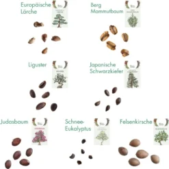 Set Di Coltivazione - 7 Bonsai -Offerta Economica Verdi Giard own grown set di coltivazione 7 bonsai 1 set 1679285 it