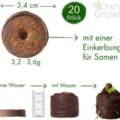 Set Di Coltivazione - 7 Bonsai -Offerta Economica Verdi Giard own grown set di coltivazione 7 bonsai 1 set 1679289 it