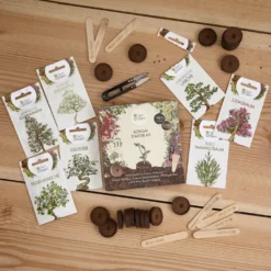 Set Di Coltivazione - 7 Bonsai -Offerta Economica Verdi Giard own grown set di coltivazione 7 bonsai 1 set 1679290 it