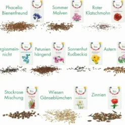 Set Di Semi - 10 Fiori Per Aiuola 11 Set Di Semi - 10 Fiori Per Aiuola -Offerta Economica Verdi Giard own grown set di semi 10 fiori per aiuola 1679527 it