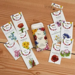 Set Di Semi - 10 Fiori Per Aiuola 14 Set Di Semi - 10 Fiori Per Aiuola -Offerta Economica Verdi Giard own grown set di semi 10 fiori per aiuola 1679531 it