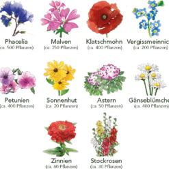 Set Di Semi - 10 Fiori Per Aiuola 13 Set Di Semi - 10 Fiori Per Aiuola -Offerta Economica Verdi Giard own grown set di semi 10 fiori per aiuola 1679532 it