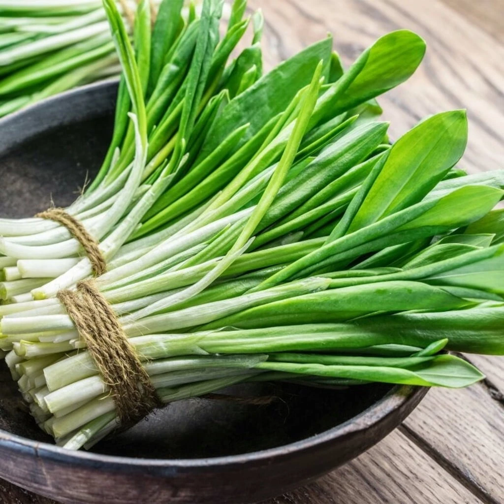 Set Di Semi - 12 Erbe Selvatiche 6 Set Di Semi - 12 Erbe Selvatiche - immagine 6