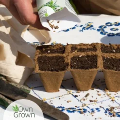 Set Di Semi - 12 Verdure 9 Set Di Semi - 12 Verdure -Offerta Economica Verdi Giard own grown set di semi 12 verdure 1 set 1679222 it