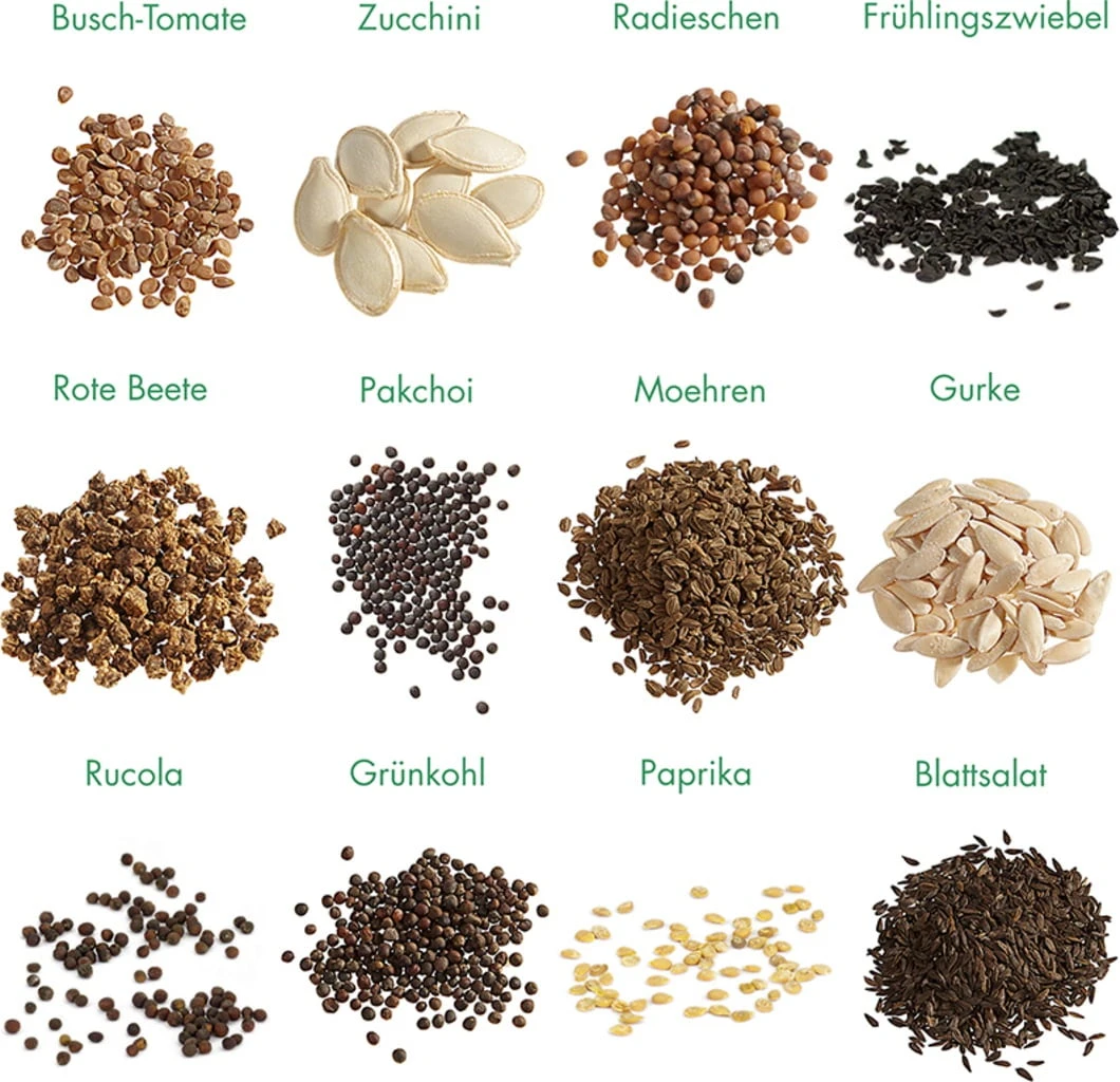 Set Di Semi - 12 Verdure 2 Set Di Semi - 12 Verdure - immagine 2