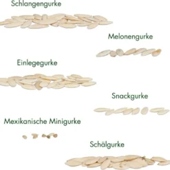 Set Di Semi - 6 Cetrioli 12 Set Di Semi - 6 Cetrioli -Offerta Economica Verdi Giard own grown set di semi 6 cetrioli 1679569 it