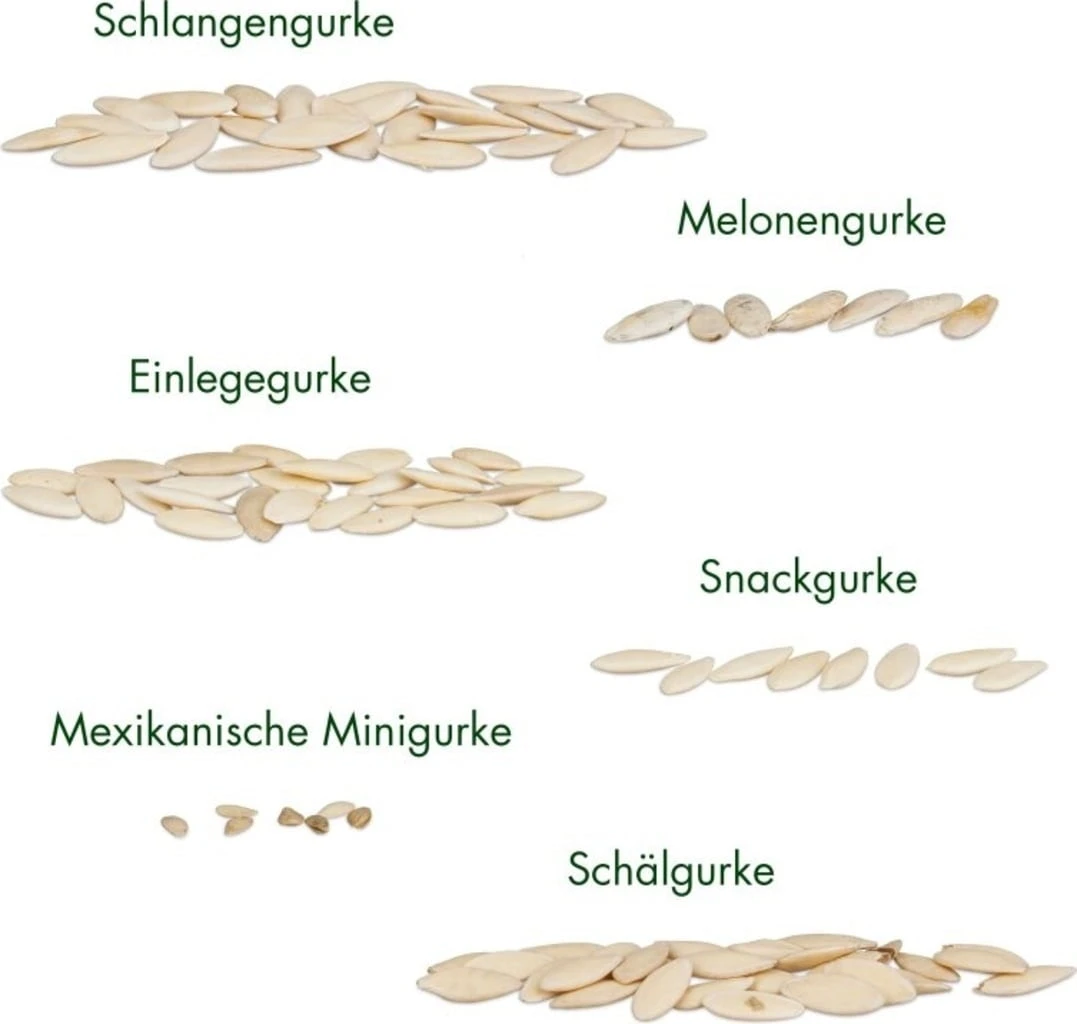 Set Di Semi - 6 Cetrioli 6 Set Di Semi - 6 Cetrioli - immagine 6