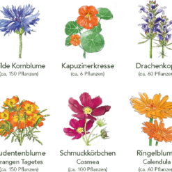 Set Di Semi - 6 Fiori Commestibili -Offerta Economica Verdi Giard own grown set di semi 6 fiori commestibili 1 set 1679259 it