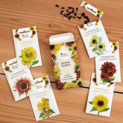 Set Di Semi - 6 Girasoli 9 Set Di Semi - 6 Girasoli -Offerta Economica Verdi Giard own grown set di semi 6 girasoli 1 set 1679265 it