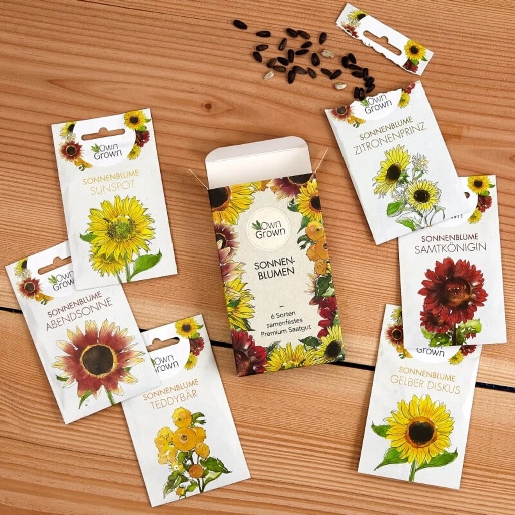 Set Di Semi - 6 Girasoli 3 Set Di Semi - 6 Girasoli - immagine 3