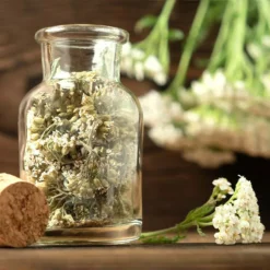 Set Di Semi - 8 Erbe Per Tisane