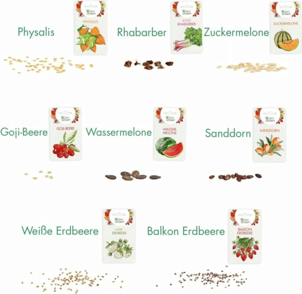 Set Di Semi - 8 Frutti Da Giardino 5 Set Di Semi - 8 Frutti Da Giardino - immagine 5