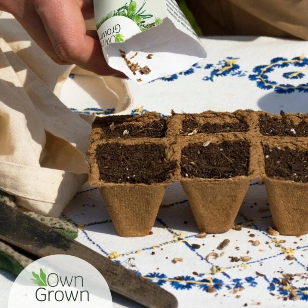 Set Di Semi - 8 Frutti Da Giardino 7 Set Di Semi - 8 Frutti Da Giardino - immagine 7