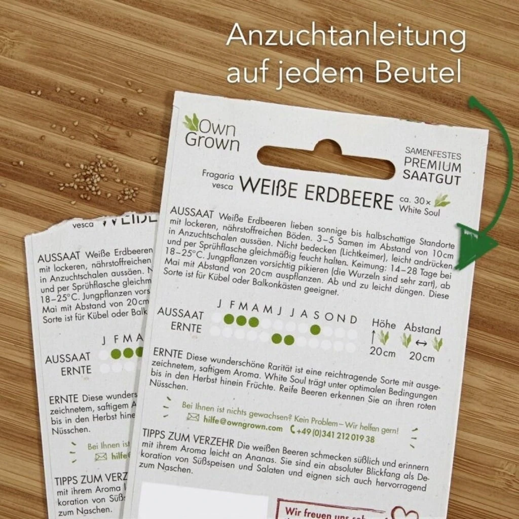 Set Di Semi - 8 Frutti Da Giardino 3 Set Di Semi - 8 Frutti Da Giardino - immagine 3