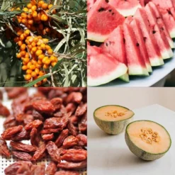 Set Di Semi - 8 Frutti Da Giardino 11 Set Di Semi - 8 Frutti Da Giardino -Offerta Economica Verdi Giard own grown set di semi 8 frutti da giardino 1679538 it