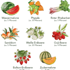 Set Di Semi - 8 Frutti Da Giardino 13 Set Di Semi - 8 Frutti Da Giardino -Offerta Economica Verdi Giard own grown set di semi 8 frutti da giardino 1679540 it