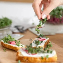 Set Di Semi - 8 Microgreens Bio -Offerta Economica Verdi Giard own grown set di semi 8 microgreens bio 1679542 it