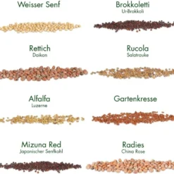 Set Di Semi - 8 Microgreens Bio -Offerta Economica Verdi Giard own grown set di semi 8 microgreens bio 1679543 it